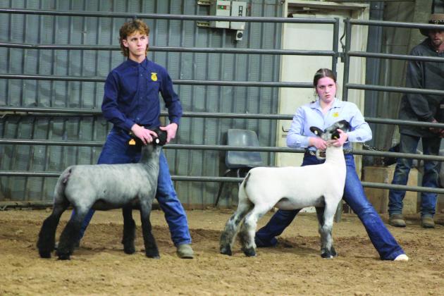 Austin Rymer of McLoud FFA and Baylee Foster of Dale FFA were the winners of Division 2, Class 3 and 2, respectively, during the Sheep Show of the Pottawatomie County Junior Livestock Show on March 5. The PCJLS continues at the Heart of Oklahoma Expo Center in Shawnee through tomorrow, March 8. Countywide &amp;amp; Sun/Natasha Dunagan