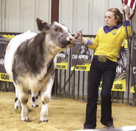 Tecumseh FFA and 4-H member Kimberly Holland exhibits her Shorthorn heifer during the Tecumseh FFA &amp; 4-H Booster Club Local Livestock Show at Tecumseh High School's ag barn on Jan. 18. Holland won both Grand Champion Heifer with her Shorthorn and Grand Champion Steer with a Limousin.