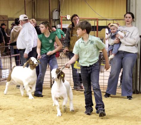 4-H members Delaney Emerson and Cotton Emerson exhibit their goats, as Tecumseh FFA Advisor Mara Carmen and her baby, Shelby, look on during the Tecumseh FFA &amp; 4-H Booster Club Local Livestock Show on Jan. 18. D. Emerson won Grand Champion Goat, and C. Emerson won Reserve Grand Goat.
