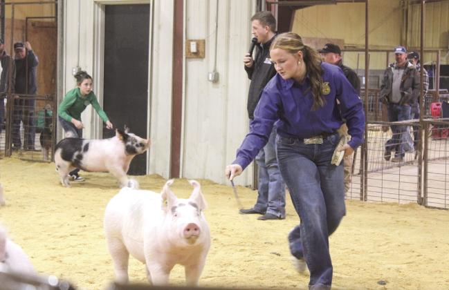 Channing Goodson, foreground, and Adalyn Seaton show their Crossbreds, as Livestock Judge Dax DeLozier comments on them, during the Tecumseh FFA &amp; 4-H Booster Club Local Livestock Show on Jan. 18. Channing won Grand Champion Pig at the show, and Seaton won first for Class 3 Crossbred Swine.