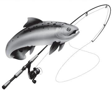 Fishing Report