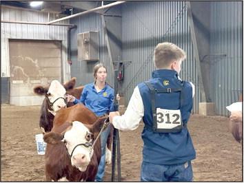 Helen Spears and Taylor Marrs, both of Tecumseh FFA, lead their cows into the Beef Show ring of the Pottawatomie County Free Fair on Sept. 8. Photo provided by Fair Manager Amy Hasbell.