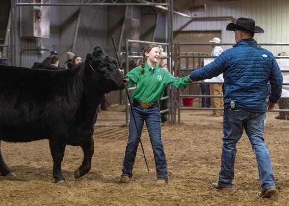 Taycie Baker- Bethel 4-H. Reserve Supreme Champion Heifer. Photo courtesy of Delia Crawford