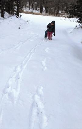 Anthony LaGrange sent this photo of Callie, 12, trekking up the drive with her sled in Tecumseh.