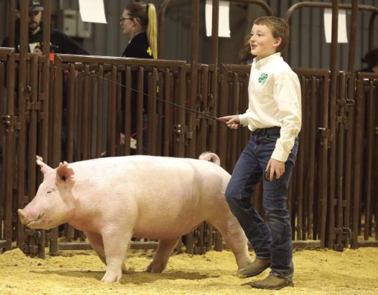 Jack Tibbs, Bethel 4-H