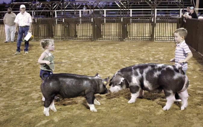 Jadi Davis of Tecumseh, left, tells Grady Whittington of South Rock Creek, “I’m winning,” during the Pee Wee Showmanship division of the T-Town Showdown on Aug. 26. Judge Colton Blehm later arranged it where they both won a cash prize. Countywide &amp;amp; Sun/Natasha Dunagan