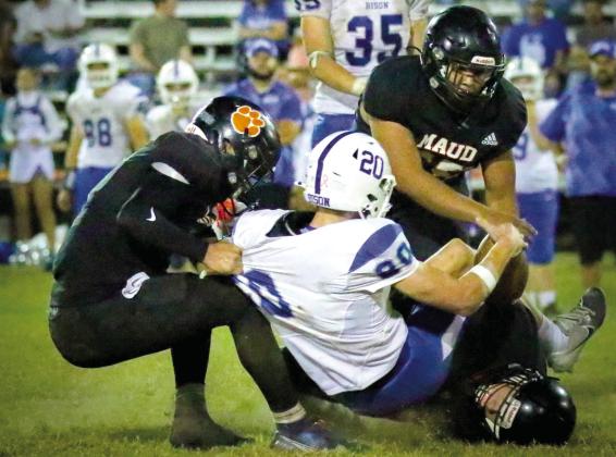 Three Maud Tigers take down a Bowlegs Bison.