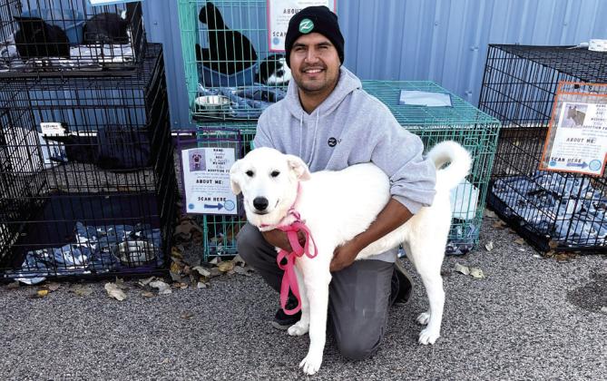 Ricardo Rodriguez sponsored two dogs for adoption, including Annie (shown) and Scooby. There were about six dogs and five cats available for adoption through Southern Paws Rescue. Photo provided.