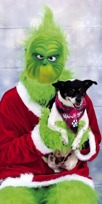 The Grinch poses with Honey, an 8-year-old Chihuahua &amp; Rat Terrier mix, available for adoption through Southern Paws Rescue, Inc. Honey is house-trained and great around cats, dogs and kids. Visit the Southern Paws Rescue, Inc. Facebook page for more info, or email spawsrescue@gmail.com. Photo provided.