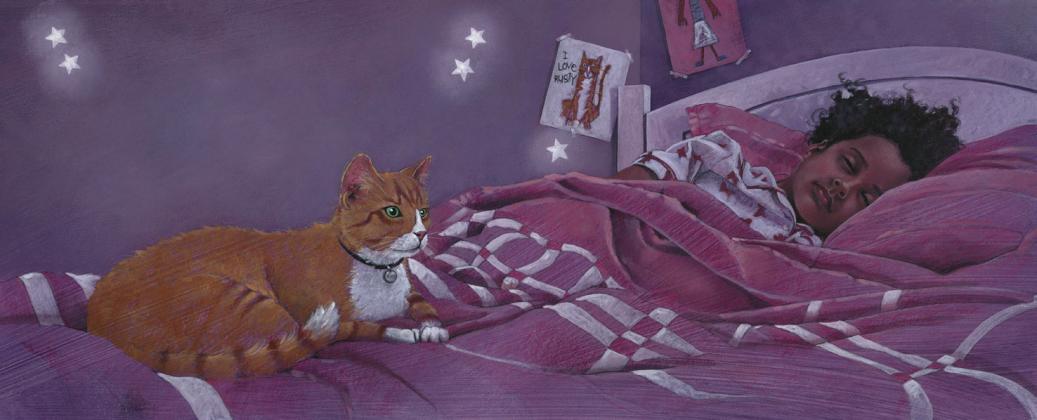 Cat in the Night by Joshua Brunet. Photo provided