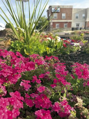During the Tecumseh City Council May meeting, City Manager Jimmy Stokes commended Cathy Condit for the 'pretty flowers' she recently planted along Broadway