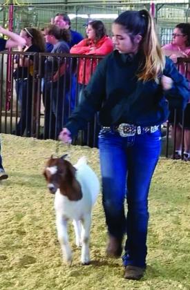 Kortni Perkins shows her Boer goat while in McLoud 4-H. Perkins is the new Pottawatomie County 4-H Educator. Photo provided