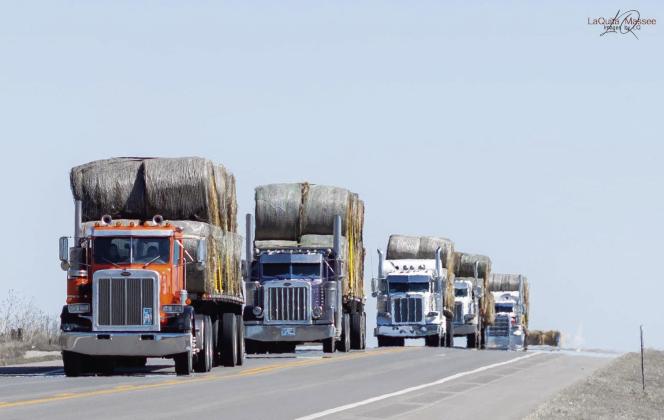 A hay convoy led by Bethel FFA alum Conner Franetovich and his father Mike Franetovich, rolled out of the Grand Casino Hotel and Resort on March 9 on its way to help farmers affected by the recent fires in Western Oklahoma. Photo courtesy of LaQuita Massee.
