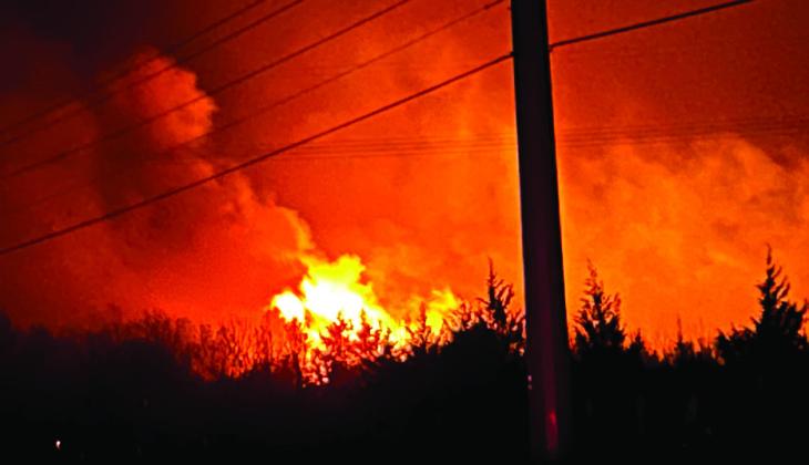 After working hard to douse the fires, a Red Cedar bursts into flames reaching far above the surrounding trees. Suzie Campbell, Countywide &amp; Sun