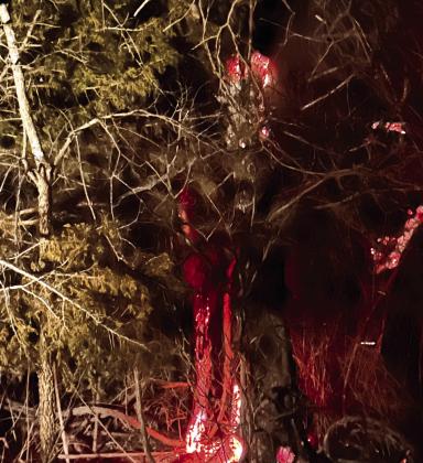 A tree on Clear Pond Road continued to glow Friday evening after the fire jumped the road and continued further North and East. Suzie Campbell, Countywide &amp; Sun