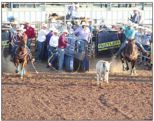 Cotton Walters, of Paden, and Braxton Ogle, of McLoud, focus on the calf in the IFYR Team Roping event on July 11 at the Heart of Oklahoma Expo Center. The IFYR marks its 30th year with 965 entries from 32 states. Countywide &amp; Sun/Natasha Dunagan