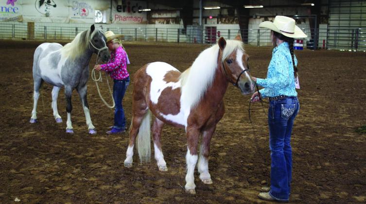 Marena Wilson and Keelie Utter show their Small Ponies in the Pottawatomie County Horse Show at the Free Fair on Sept. 10. Wilson placed first, and Utter placed second in the class. Countywide &amp;amp; Sun/Natasha Dunagan