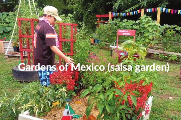 South Rock Creek 4-H President Gabe Hobbs stands in his garden during last year’s “Oh, the Places You’ll Go” county garden contest. Hobbs won first in the contest. This year, Hobbs has organized his own gardening contest, focusing on bell peppers. Photo provided.