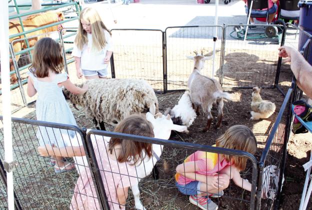 Several kids enjoy the petting zoo with two goats, a sheep, a rabbit, and Silkie chickens during the Mingle on Main Street Block Party in Tecumseh. A &amp; K Farms of Chandler, owned by Andrea Dean and Kory Momfort also brought a miniature horse, an alpaca and a Highland bull on June 8. Countywide &amp; Sun/Natasha Dunagan