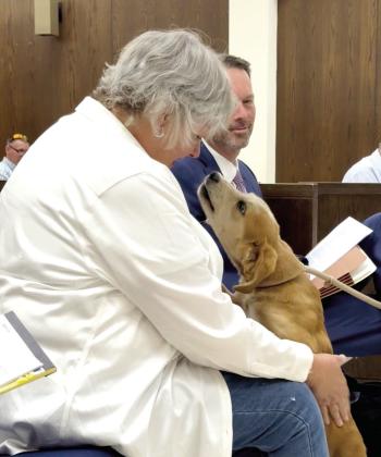 Bambi, the Shawnee Pet of the Month, found SPAR Volunteer, Kim Landholt, to get all the affection. She is going to be a large dog, but is very sweet. Julie Talton, Countywide &amp;amp; Sun
