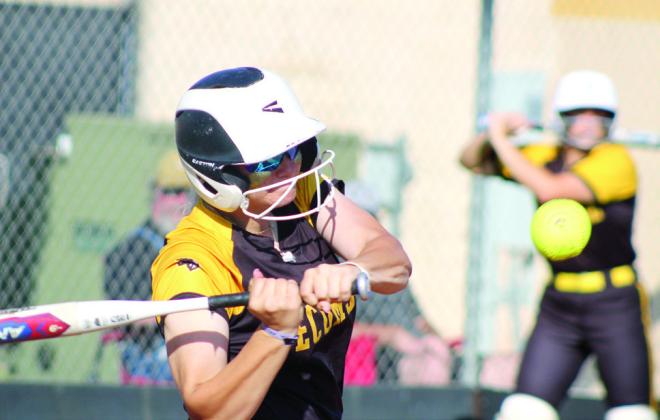 Tecumseh sophomore Embrie Smith hits a double in the district game.