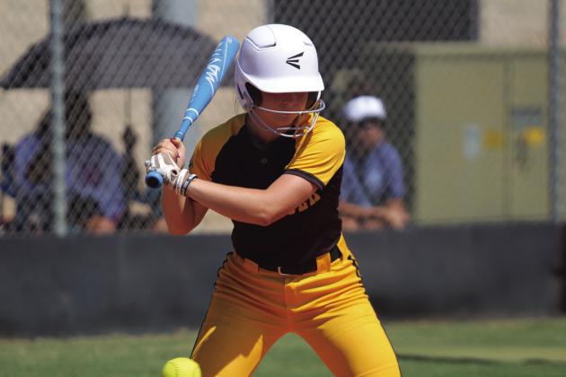 Tecumseh senior Katie Overstreet prepares to hit a single during the Dale-Tecumseh Tournament game against Shawnee on Sept. 5. The Lady Wolves lost to the Lady Savages, 10-0. Tecumseh won four out of their five games, and Shawnee won two. Dale won the tourney with no losses.