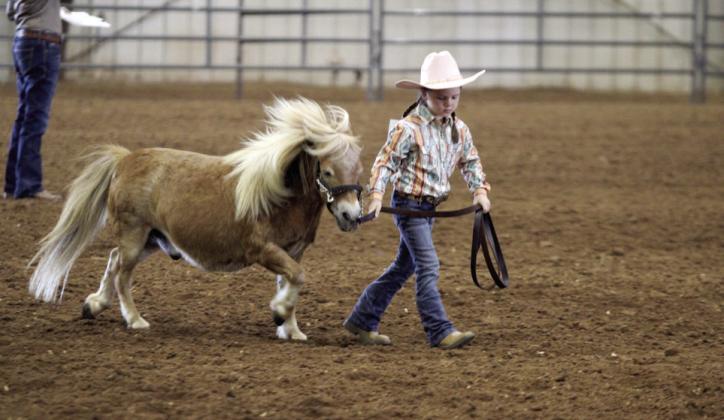 Everly Faith Pudgett leads her miniature horse in the Small Ponies (under 52-inch) of the 2024 Fair. File photo, Countywide &amp;amp; Sun/Natasha Dunagan