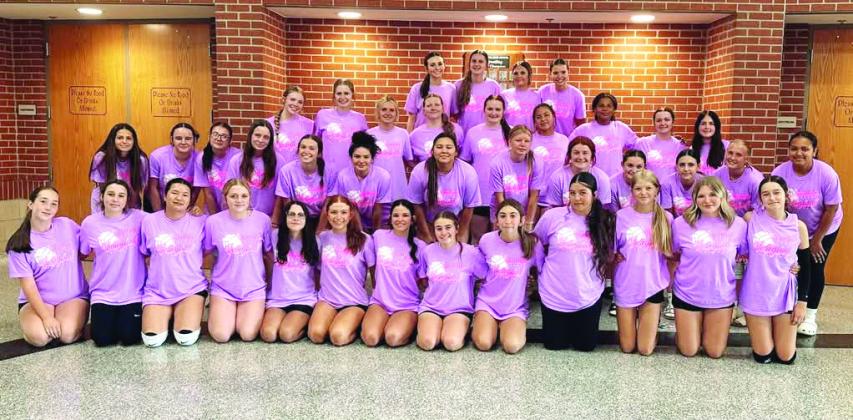 Tecumseh Lady Savage Volleyball, coached by Megan Laughlin, participate in Summer League, playing every Monday. Photo provided