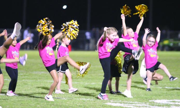 The youngest participants in Tecumseh's Savage Cheer Clinic perform to 'Surfin USA' by the Beach Boys during halftime of the Oct. 16 home game. Natasha Dunagan, Countywide &amp;amp; Sun