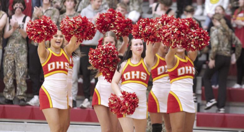 Dale High School Cheerleaders rally the crowd and student section during the girls basketball game on Dec. 3. File photo