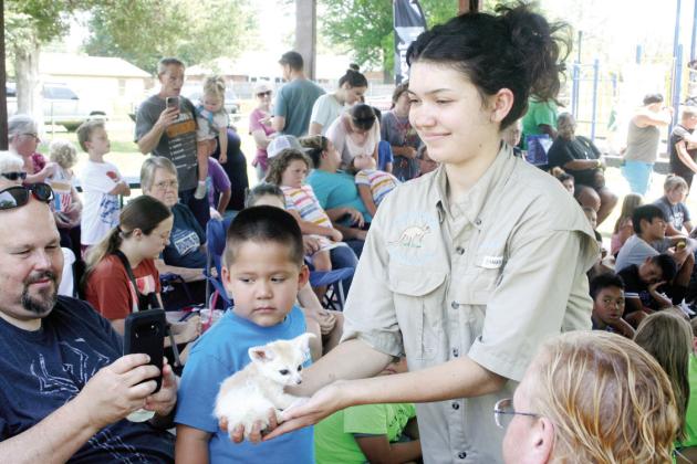 Alexis, trainer at Extreme Animals, lets folks pet the baby Fennec Fox at Slick Humphrey Park for Tecumseh’s Public Library’s Summer Reading Program on Thursday, June 8. Countywide &amp;amp; Sun/Valerie Scott
