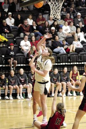 Tecumseh senior Reagan Berry throws up a shot from the side for two points during the first home game.
