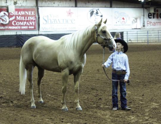 Dace Dockrey shows Debra Harry in the Senior Mares class of the Pottawatomie County Free Fair Horse Show on Sept. 6. Dockrey won first in the class.