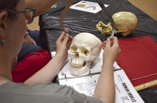 Teens learn about forensic osteology during the last Summer Learning Event of the year at Tecumseh Public Library on Wednesday, June 26. Countywide &amp;amp; Sun/Valerie Scott