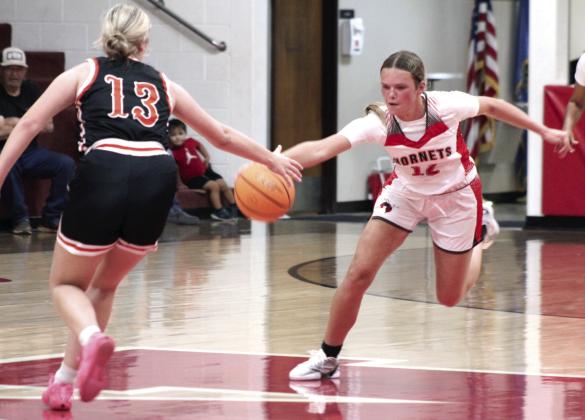 Macomb's Addy Beauchamp steals the ball and heads to the basket during the Nov. 18 home game against Wayne.