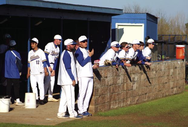 From the dugout, the Bethel Wildcats players and coaches watch the third and last inning of the home game with Stroud, March 28. The Wildcats won, 21-8. Countywide &amp; Sun/Natasha Dunagan
