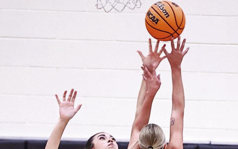 Hailey Anglin goes up to block the Seminole shooter in the District Championship game on Feb. 21.