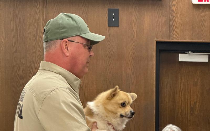 Shawnee City Commissioners were introduced to Bolt, a Pomeranian mix, getting the title of Pet of the Month by Animal Control during the February meeting. Julie Talton, Countywide &amp; Sun