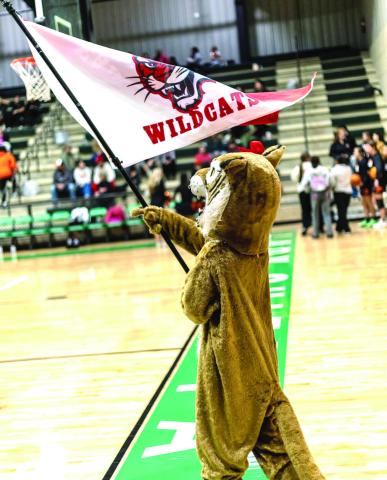 The Earlsboro Wildcats' Mascot hypes the crowd during the LRC Tournament in Seminole. Photos Provided by Amanda Elmore