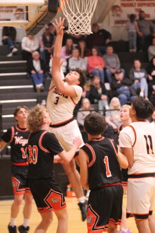 Maud freshman Jonathan Lamas grabs the rebound and makes a layup during the Feb. 5 home game against Wayne. The Tigers won 62-48.