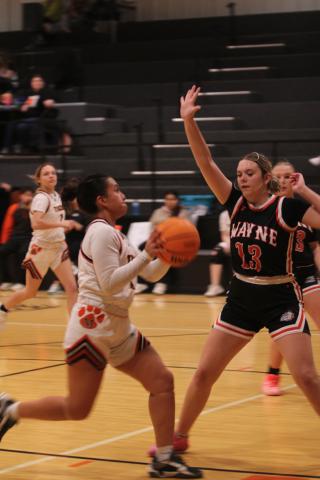 Maud senior Abi Horton drives to the hoop in the third quarter of the Feb. 5 home game against Wayne. The Lady Tigers lost 25-68.