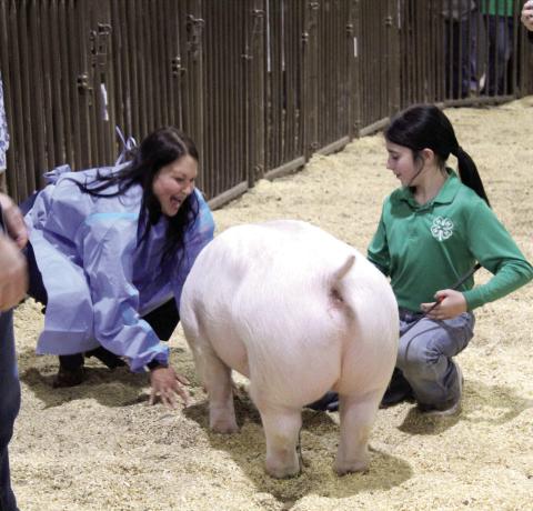 Fichtner Kisses the Pig for United Way