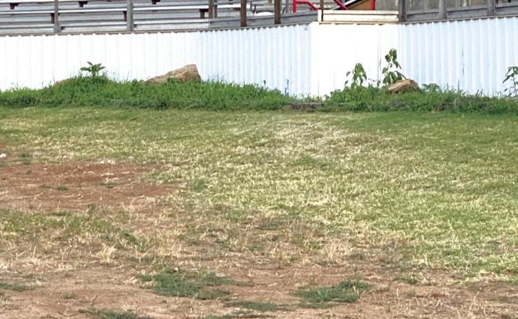 The fenceline needs cleared and grounds worked for the 2023 IFYR. Photo provided