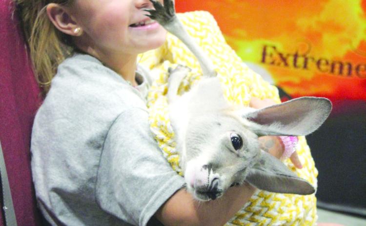 Hadleigh Taft, 6, of Harrah, holds Violet, the 11-month-old joey, at the Extreme Animals attraction during the Outdoor Nation Expo on Aug. 12. Countywide & Sun/Natasha Dunagan