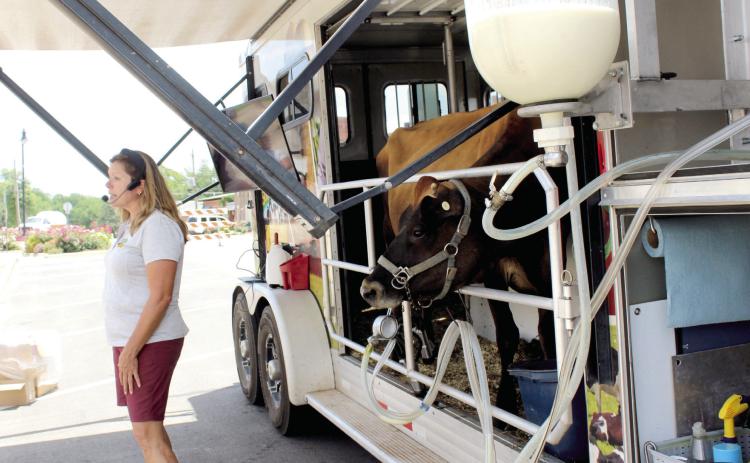 Suzie Reece, with the Southwest Dairy Farmers Mobile Dairy Classroom, speaks about the dairy industry, cows and dairy foods, as Dixie the 3-year-old Jersey fills up a jar with her milk. West Washington Street was partially blocked off for the Tecumseh Public Library program on June 26. Cups and coloring books were provided. After the program, attendees could enjoy free Peachwave Yogurt, paid for by Tecumseh Friends of the Library and Tinker Federal Credit Union. Natasha Dunagan, Countywide & Sun