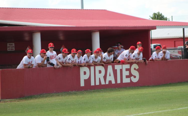 Dale Baseball Pirates
