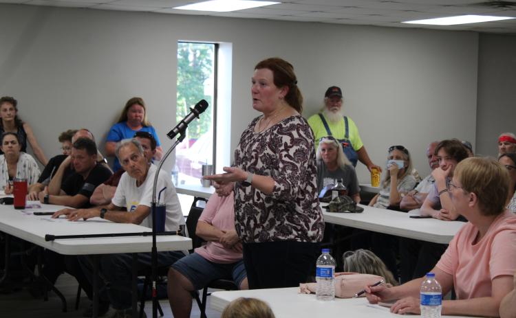 Pink Mayor Lisa Van Liew said she didn’t want all of the restrictive rules in the Pink Zoning Ordinace Draft during the Pink Zoning Board’s Special Meeting on May 8. Countywide & Sun/Natasha Dunagan