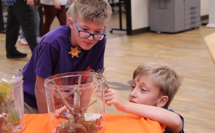 Jackson Rowell, 12, and Gavin Heath, 10, both of Norman, study a Thorny Devil Walkingstick, which was part of the OSU Extension Insect Adventure during Bugfest at the Shawnee Public Library on May 30. The annual event is part of Health Week and also featured the Okies for Monarchs booth, honey tasting, an opportunity to try fried mealworms and several organization booths. Photos by Natasha Dunagan, Countywide & Sun