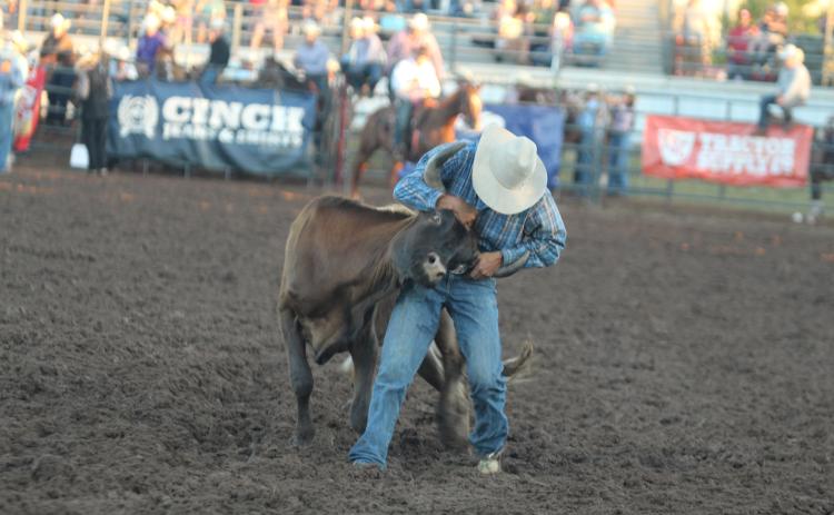 Preston Rodriguez of Clayton, MI, works on taking down a steer in the steer wrestling event of the IFYR on opening night, July 12.