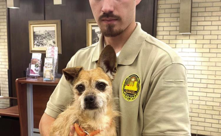 Officer Meyers gave the monthly Shawnee Animal Shelter report and showed off Teeny, a two-year-old male Wheaten Terrier mix up for adoption. Photos by Julie Talton, Countywide & Sun